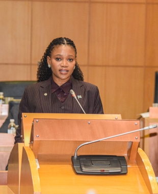 Minister of Minerals and Energy, Ms Bogolo J. Kenewendo