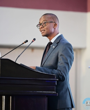 VP calls for Economic Diversification