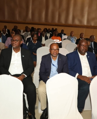 Local Authorities were today called upon to work with government